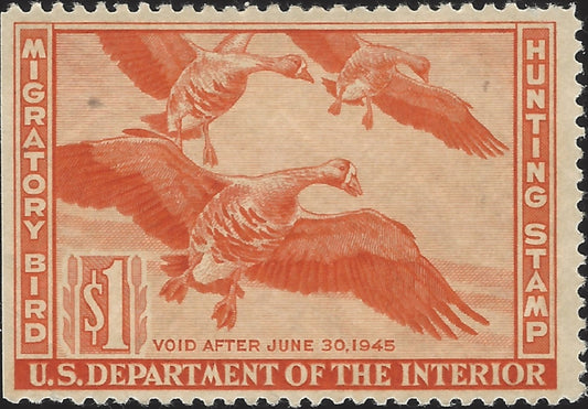 US Scott #RW11 MNH OG VF 1943 US Federal Duck Stamp